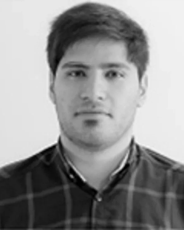 مهمان نمایشی